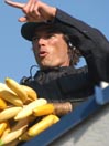 Bananas